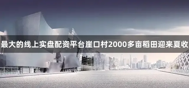 最大的线上实盘配资平台崖口村2000多亩稻田迎来夏收