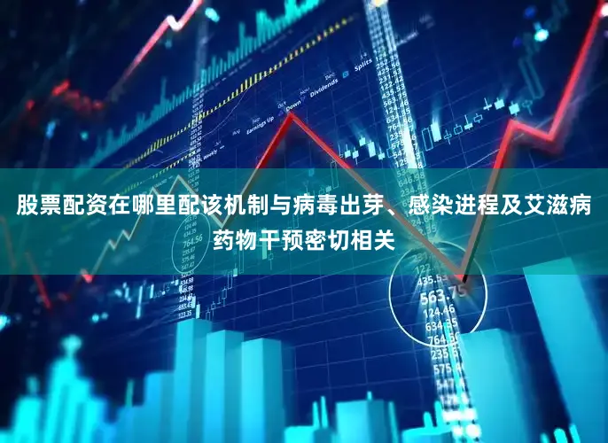 股票配资在哪里配该机制与病毒出芽、感染进程及艾滋病药物干预密切相关