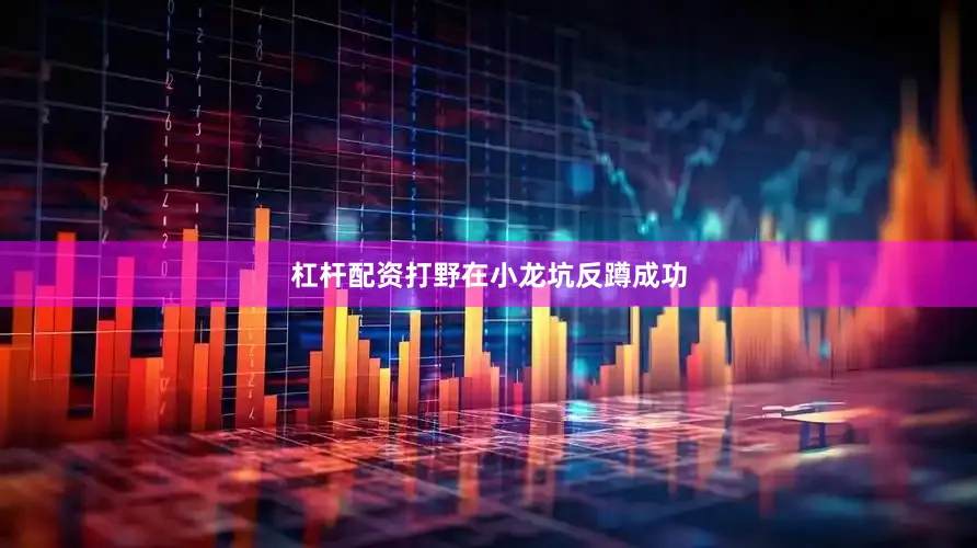 杠杆配资打野在小龙坑反蹲成功