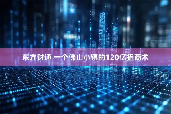 东方财通 一个佛山小镇的120亿招商术