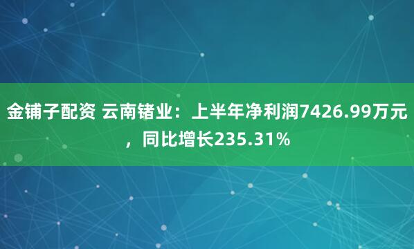 金铺子配资 云南锗业：上半年净利润7426.99万元，同比增长235.31%